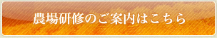 農場研修のご案内はこちら