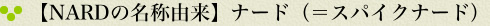 【NARDの名称由来】ナード（＝スパイクナード）