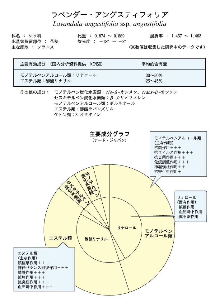 P1.ラベンダー・アングスティフォリア