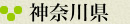 神奈川県