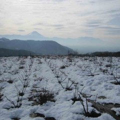 13日に降った雪はまだ積もったままです