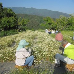 続きはまた明日