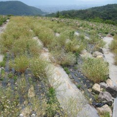 来年の準備