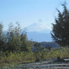 真白き富士の嶺