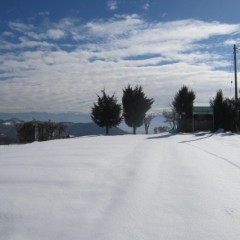 雪の中