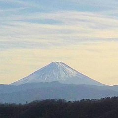 雨無し、雪無しの新年