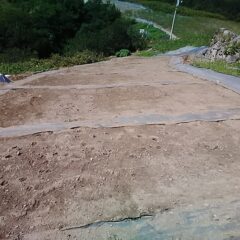 こちらの畑には何やら転々と足跡が