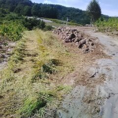 通路の草刈り作業終了！
