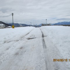 対向車もなく普段とはまるで違う景色