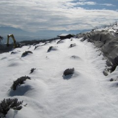 グロッソ＆スーパーの畑はまだ雪に覆われて「かまくら」状態