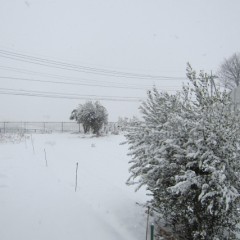 14日、またしても雪が！