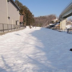 ラベンダーの見本畑も一面の銀世界