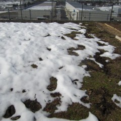 1m以上積もった雪も徐々に溶け始めています