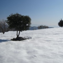 農場はまだ雪に覆われています