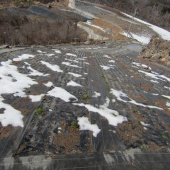 日当たりの良い斜面は大分溶けていました