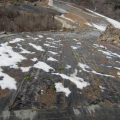 日当たりの良い斜面は大分溶けていました