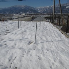 雪融けしたかと安心したのもつかの間、また雪です