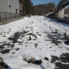 ラベンダー見本畑もご覧の通り