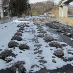 やはり日陰部分の雪融けが遅れています