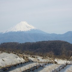 富士山も見守ってくれていますよ