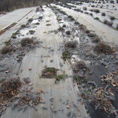 さっぱりとして新一年生の気分でしょうか？