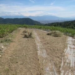 草刈り作業も重労働ですが草の片付け作業もまた一苦労