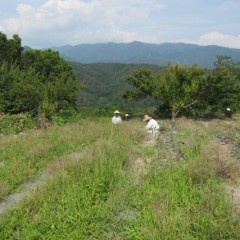 今日の最高気温は34.4℃