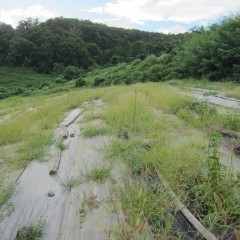 ここまでくると「天晴れ！」とでも褒めてあげましょうか