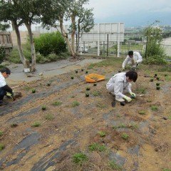来年の準備が始まっています