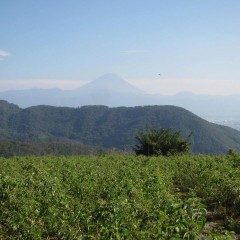 水墨画のような富士山