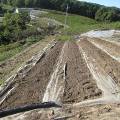 綺麗に整地した畑にマルチを張ります