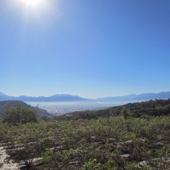 今朝の最低気温はo.8℃