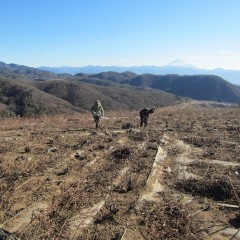 黙々と作業を続けます