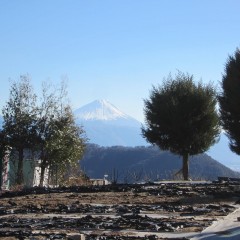 今日も富士山が迎えてくれました