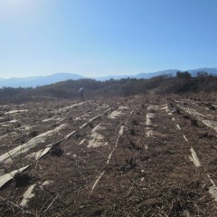 寒風の中での作業です