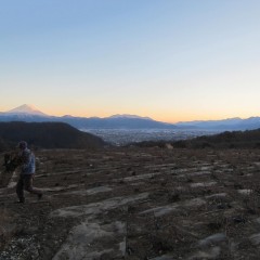 日暮れまで淡々と作業は続きます