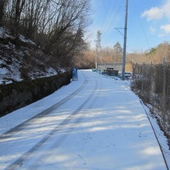 農場に続く道の日陰にはまだ雪が残っています