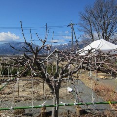 ちょっと窮屈そう