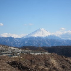 冬晴れ