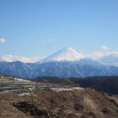冬晴れの空に霊峰富士が綺麗に望めました