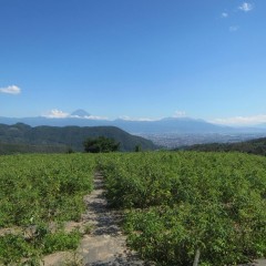 梅雨明け