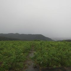 台風接近中