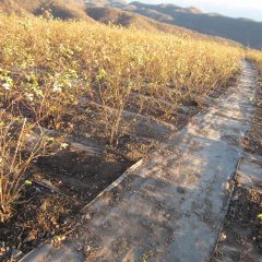 綺麗に片付いたメインの通路