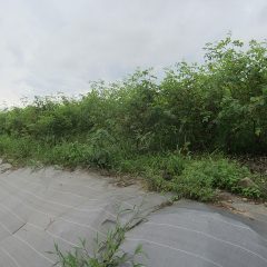 足場の悪い場所の作業は一苦労