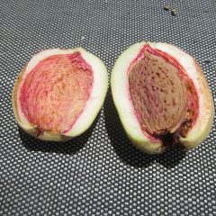実を割ると細長い梅干しの種の様な種があり、種を割るとみなさんご存じのアーモンドの実が出て来ます