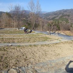 今日はポカポカ陽気の中で除草作業が進んでいます
