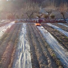 日が沈むと気温は一気に下がり、まるで冷凍庫の中にいる様です