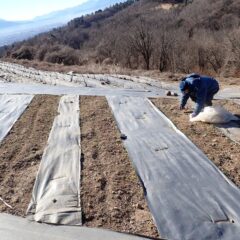 寒風の中で作業を続けています