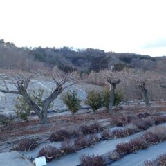 今日はここまで