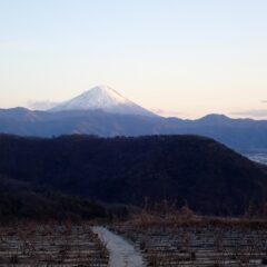 夕陽の照らされた富士山